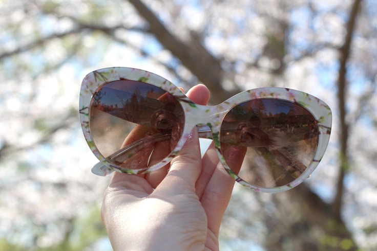 dolce and gabbana blossom sunglasses