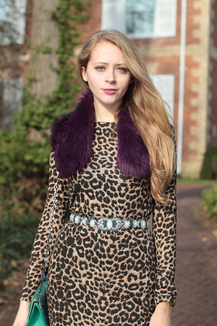 leopard dress purple scarf