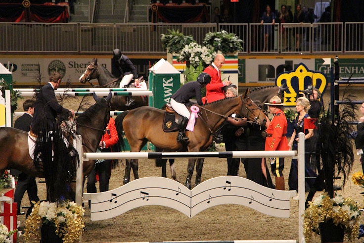 royal winter fair horse show 1