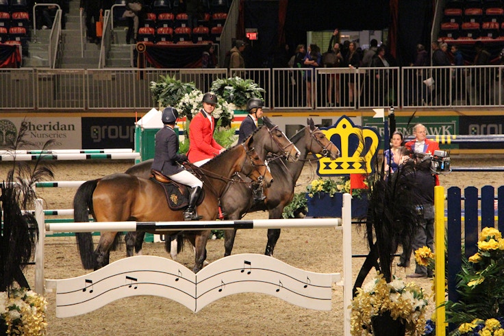 royal winter fair horse show 2