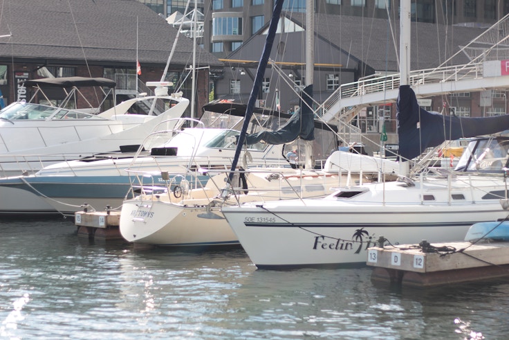 toronto harbourfront yachts