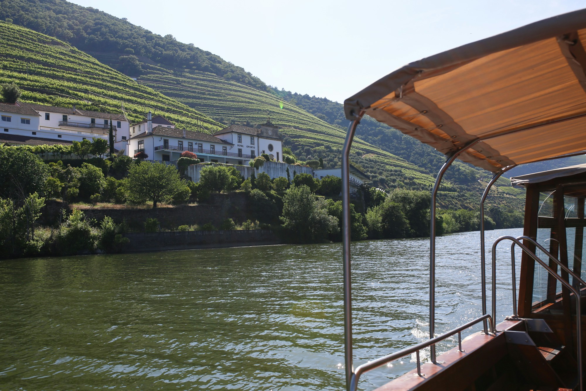 douro river boat cruise review