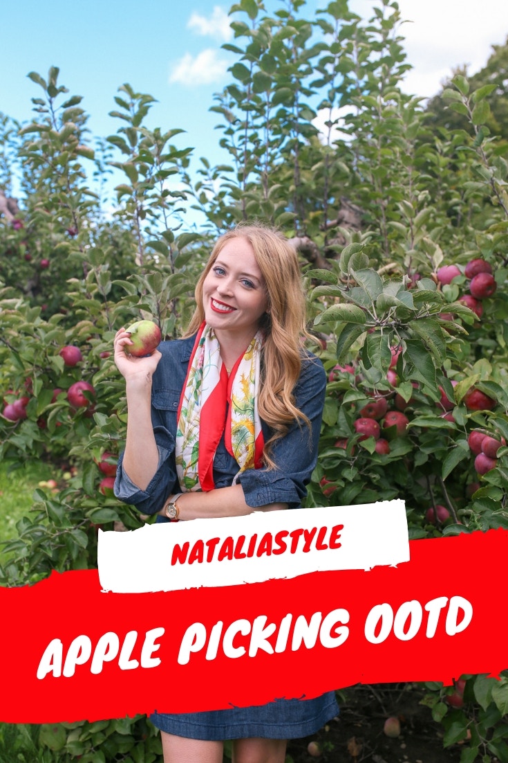 A denim dress and silk scarf are a chic option for a fall day apple picking! Read more at nataliastyleblog.com