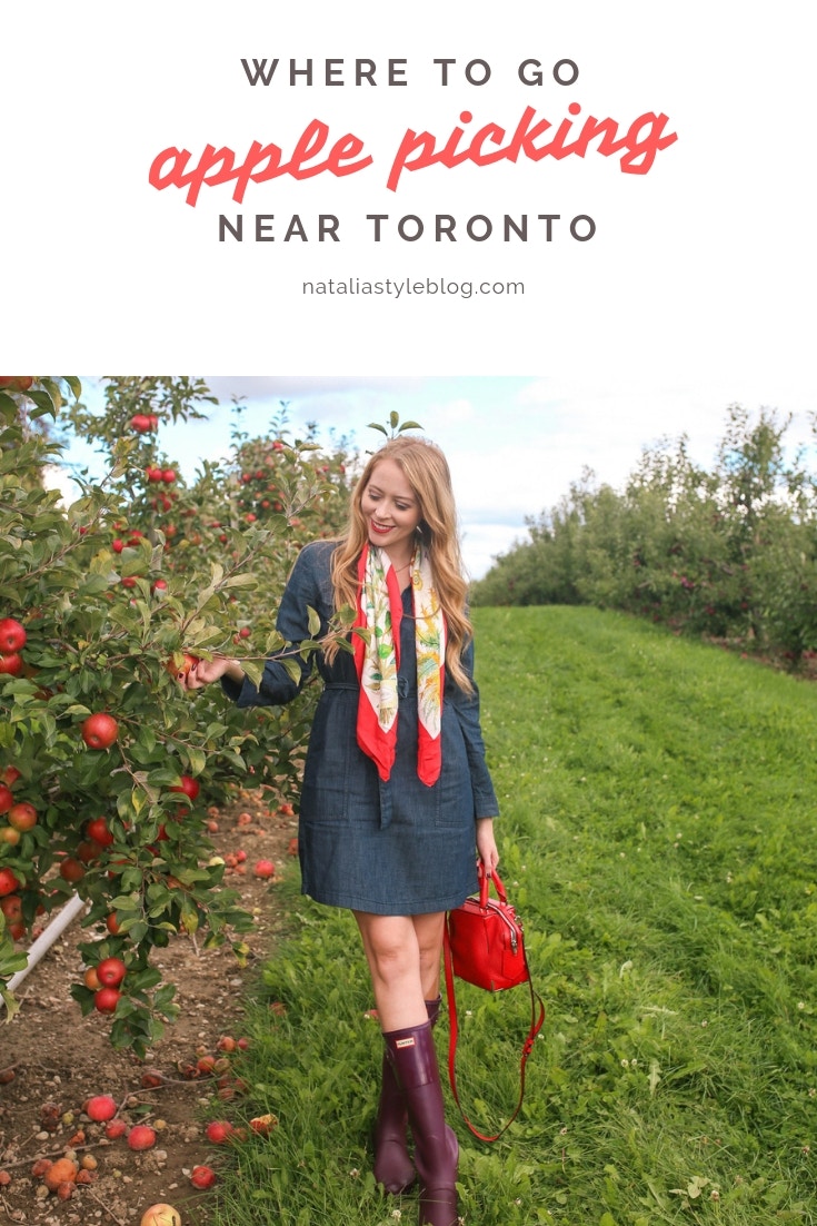 Where to go apple picking near Toronto: a guide to a local apple orchard and fruit winery, only 30 minutes from Toronto. Plus, get some style inspiration with this chic apple picking outfit idea!