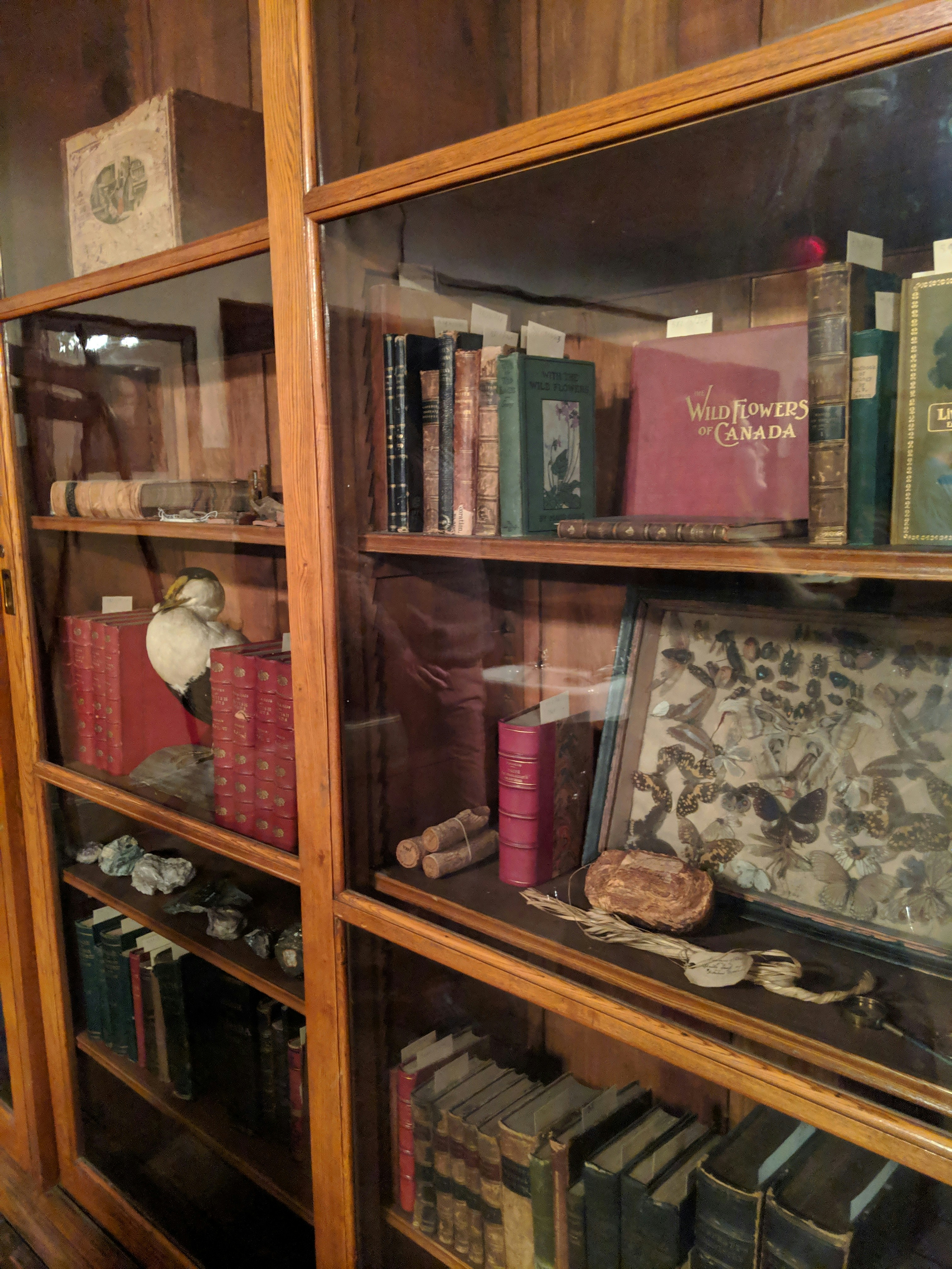 Morrin Centre rare books on display