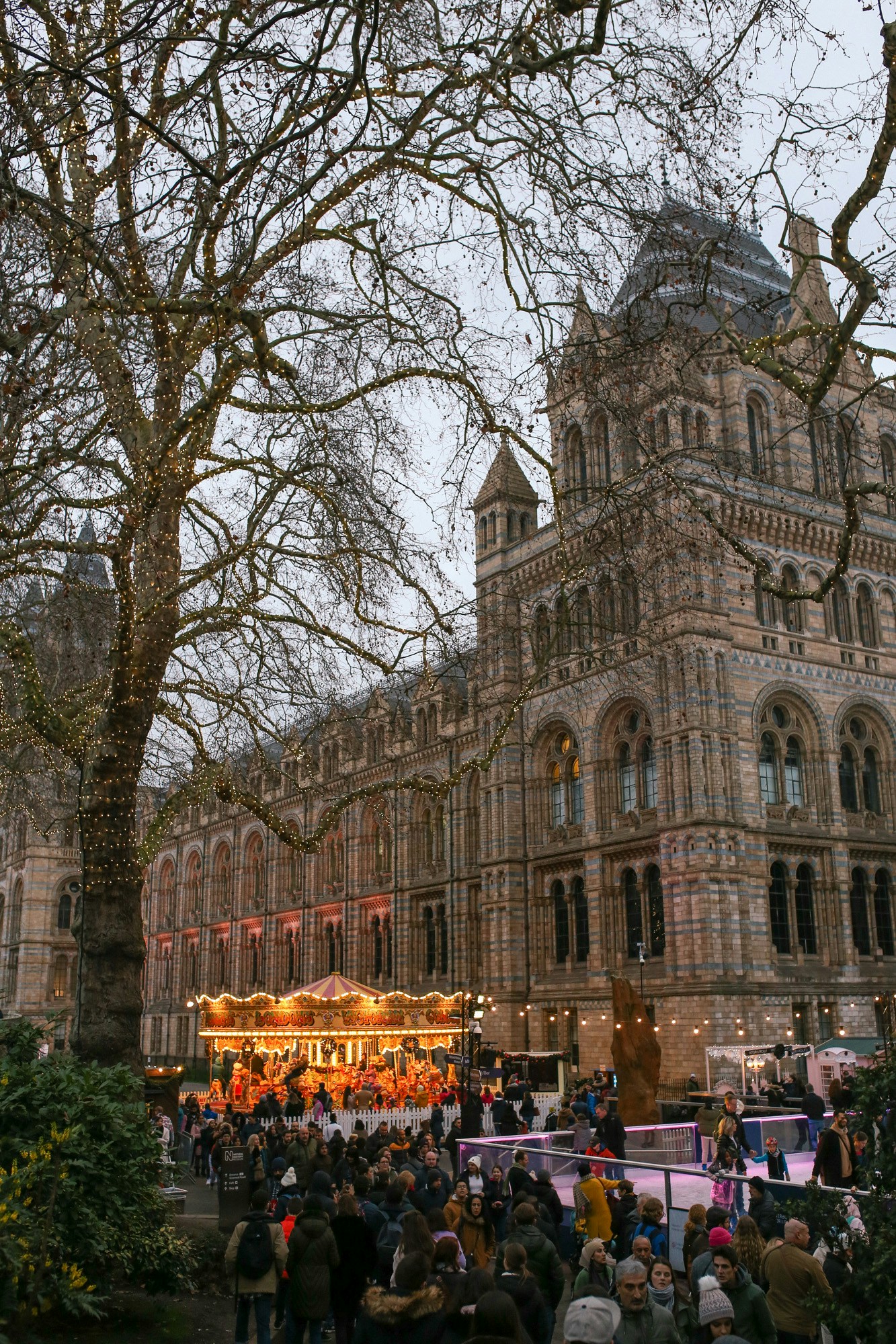 The Natural History Museum in London is a must-see at Christmas time with a carousel, skating rink and fairy lights.