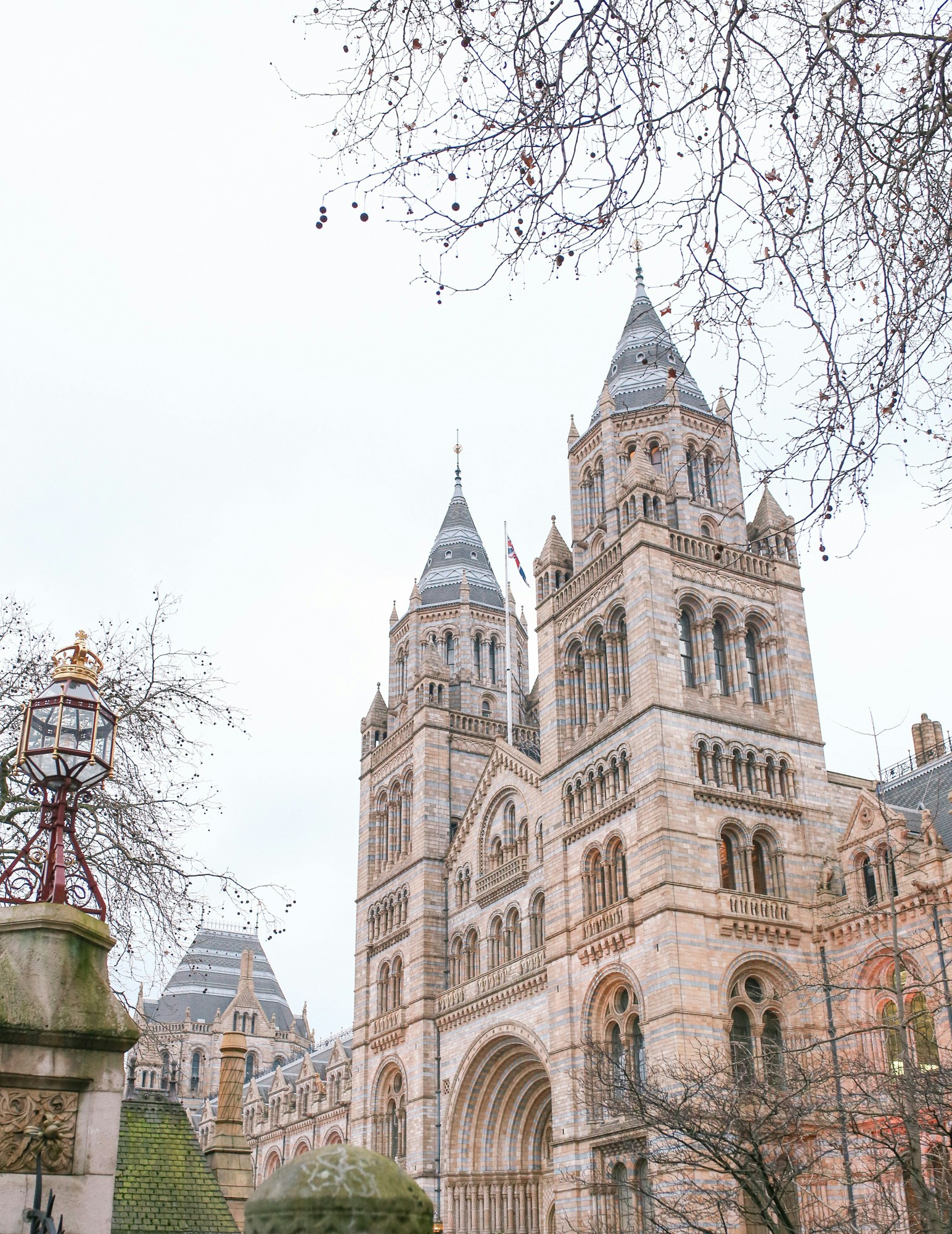 Natural History Museum, London is located on Cromwell Road and features an incredible collection.
