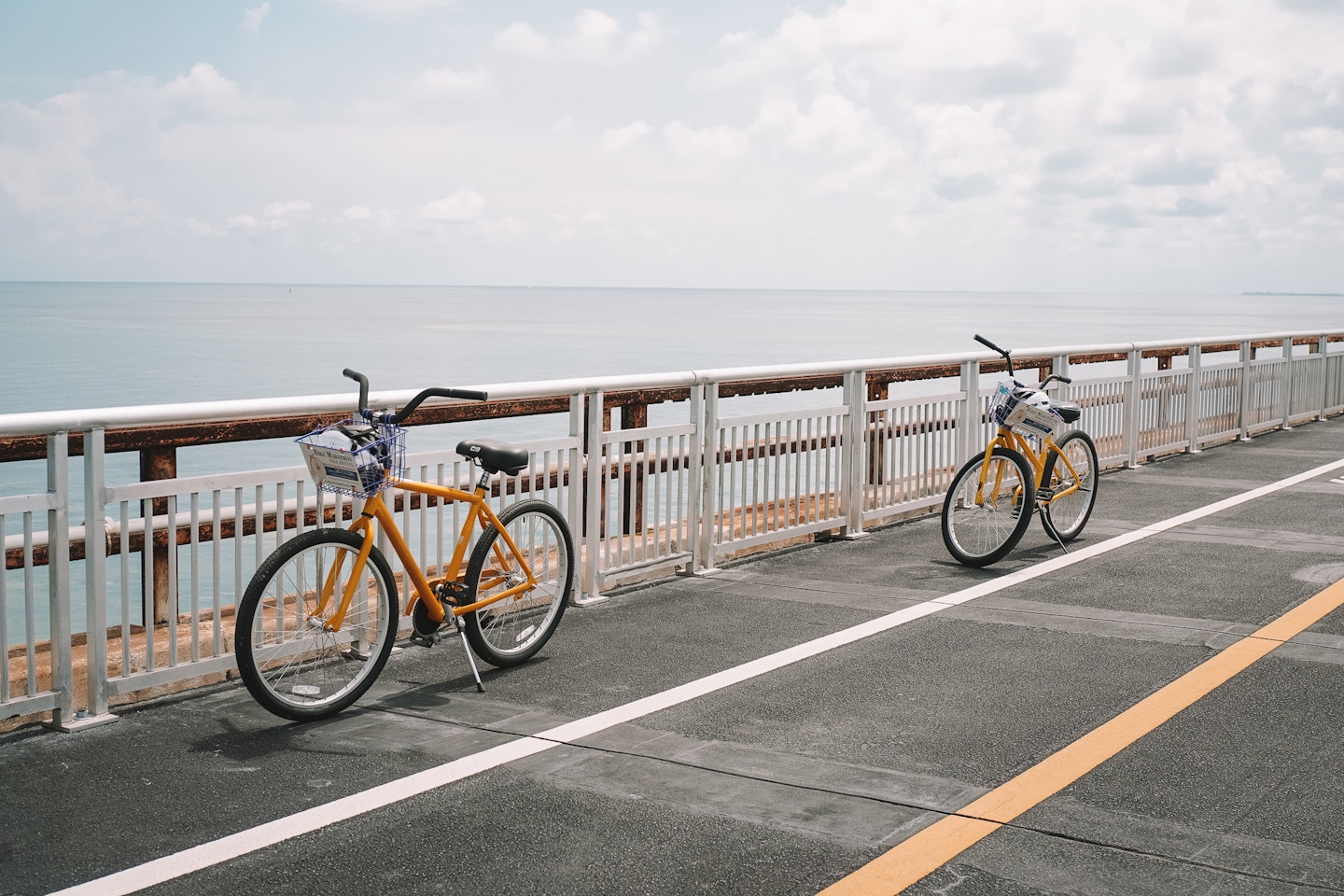 Biking on the Old Seven Mile Bridge was one of my favourite things to do in Marathon Florida! You can enjoy a couple miles of this historical landmark on foot or by bike. 